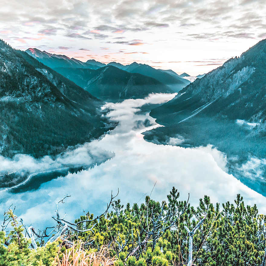 Blick auf den Plansee