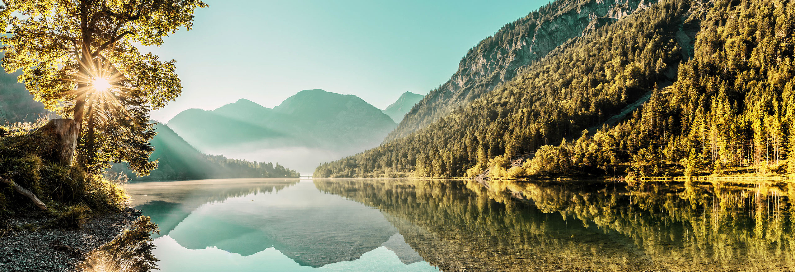 Hintergrundbild Starseite - Landschaftsbild vom Plansee im Sommer