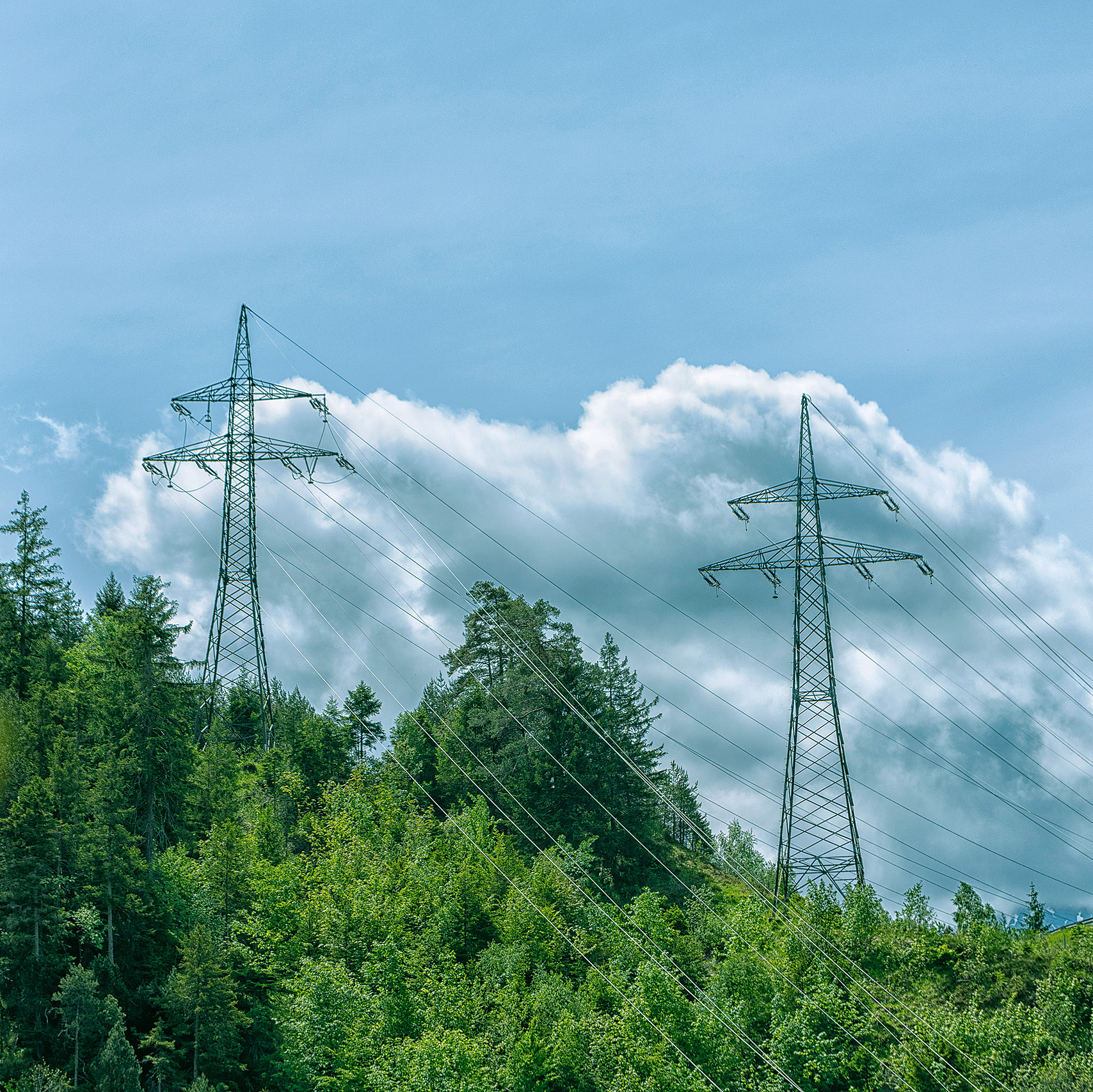 Hochspannungsleitungen verlaufen über bewaldeten Hügel