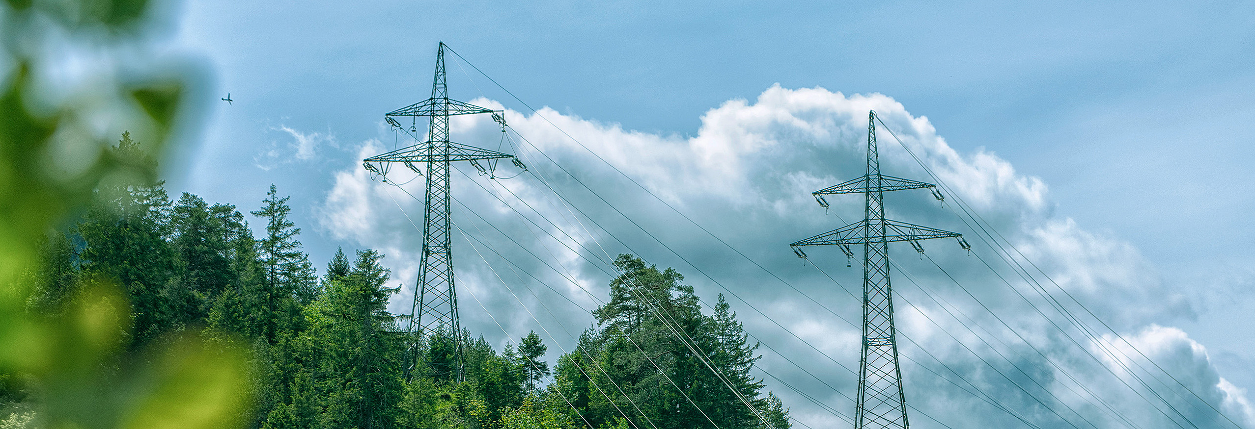 Hochspannungsleitungen verlaufen über bewaldeten Hügel